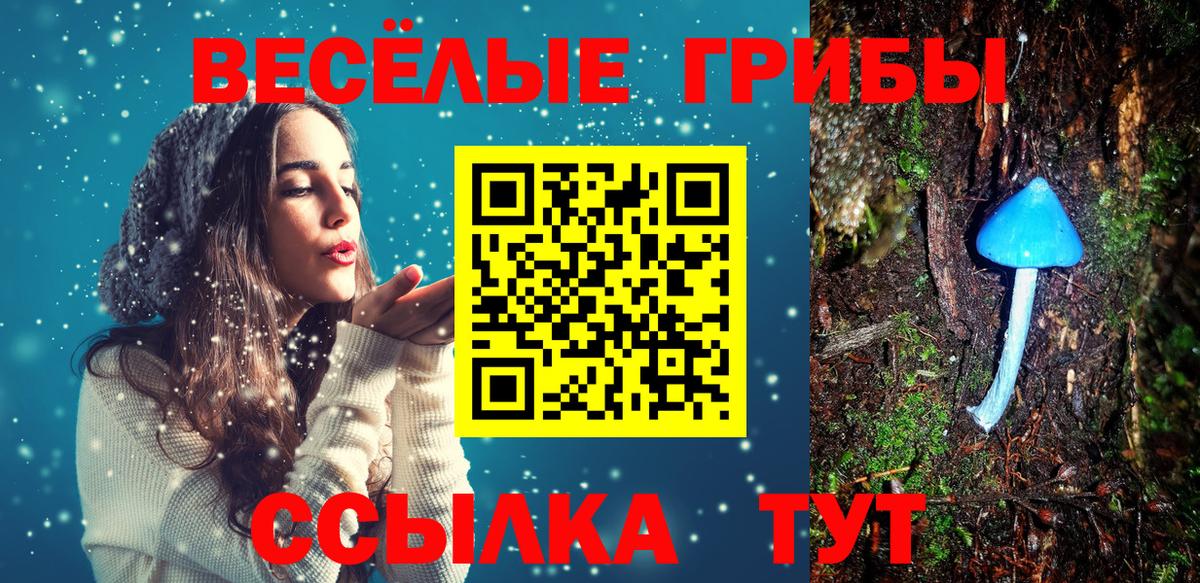 Мурино  Галлюциногенные грибы мухоморы  Вход с VPN  Галлюциногенные грибы Cubensis 